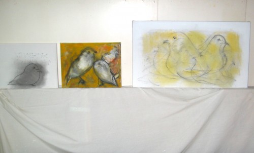 Birds in Basil's studio...